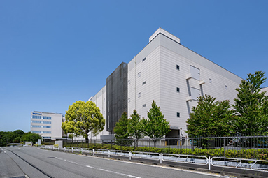 デリバリー作業（手封入・封筒検品）